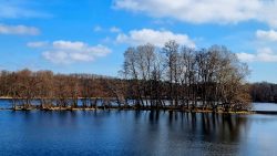 Kleine längliche Insel im Amtsee