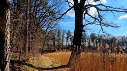 Jakobswege am Großen Heiligen See