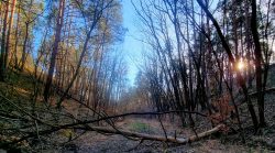 Unterwegs auf der alten Bahntrasse