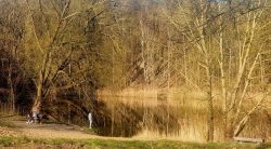 Sommerfelder Kiesgrube