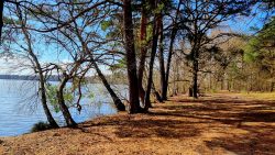 Weiche Wege am Pätzer Hindersee