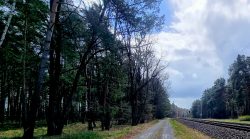 Kieswege an der Bahn entlang