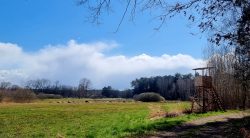 Blick in die Landschaft am Försterweg
