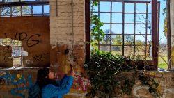 Die Natur erobert sich das Gelände zurück