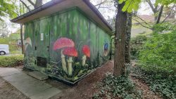 Fliegenpilze am Parkweg, Apoldaer Straße