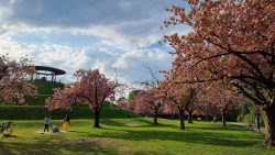 Lilienthalpark mit Gedenkstätte
