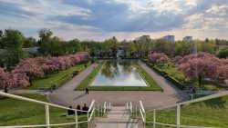 Lilienthalpark mit Karpfenteich von der Aussichtsplattform