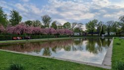 Spiegelungen im Karfenteich