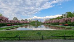 Nocheinmal die ganze Pracht