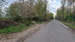 Jakobsweg und Mauerweg