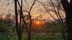Sonnenuntergang Nähe Kriemhildstraße