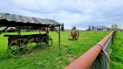 An der Mühlenstrasse, Groß Schönebeck
