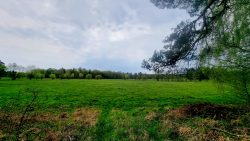 grüne Landschaften soweit das Auge reicht