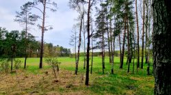 Landschaft nähe Wildpark Schorfheide