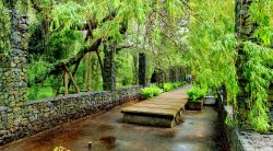 Kunstwege auf Ziegenwerder