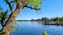 An der Fähre Tegel Ort, Blick auf das Havelufer, Spandau