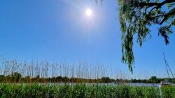Warme Sonnenstrahlen an der Havel