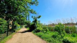 Sandwege im Sonnenschein