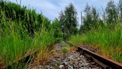 Die Brandenburgische Städtebahn im Wandel