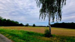 Wirtsachaftswege um Niemegk herum