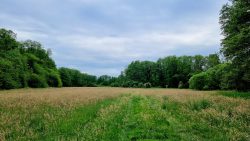 Feldwege und weiter Blick