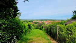 Abstieg nach Bad Belzig