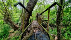 Wehranlage in der Nähe der Wehrmühle, niemegk