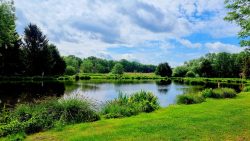 Hier kann man selber Fische angeln