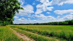 Feldwege an der Plane