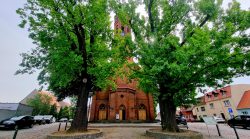 St. Johannis Kirche, Niemegk