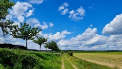 schnurgerade Wege mit weitem Blick, Nähe Mützdorf