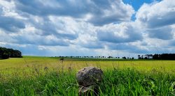 und noch ein schöner Blick, Nähe Mützdorf