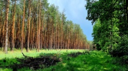 Auf Abwegen nähe Jerserigerhütten
