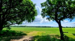 Weite Felder entlang der Straße