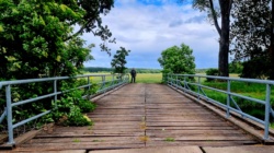 Brückenkonstruktion light