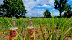 Päuschen am Wegesrand