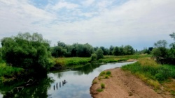 Blick auf den Vorflutkanal von der Oderinsel