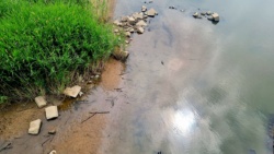 Sonnenblick in die Oder Aue