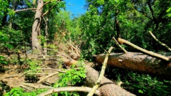 Hindernisse auf dem Weg zum Fort Zorndorf