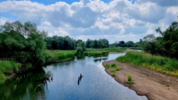 Ein letzter Blick auf den alten Oderarm