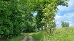 Auf dem Weg zur Lünette D