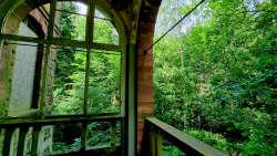 Bewaldetes Gelände um die Heilstätten herum