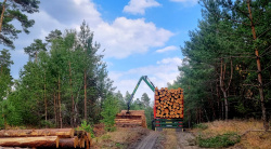 Baumarbeiten Nähe Rehaklinik