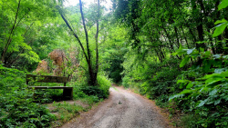 Auf dem Weg in die Stadt Bad Belzig