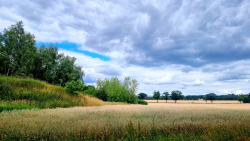 Landschaft auf dem Kunstwanderweg