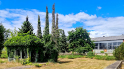 Im Park von Gut Schmerwitz