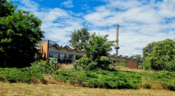 Lost Place im Park von Gut Schmerwitz