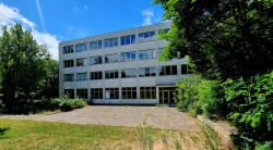 Immer mehr Gebäude tauchen zwischen den Bäumen auf