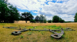 "Das Pflanzenlabyrinth" von Jahna Dahms