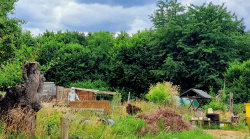 Garten am Waldrand mit ungewöhnlichen Einblicken